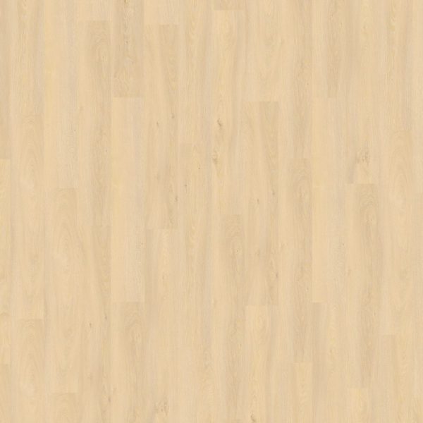 Elegance Rigid 55 (ze zintegrowanym podkładem) - Modern Oak LIGHT NATURAL