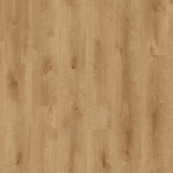 Elegance Rigid 55 (ze zintegrowanym podkładem) - Season Oak NATURAL