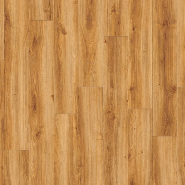 Classic Oak Roots 24438 - Naturalny dąb beżowy z ekologicznej kolekcji